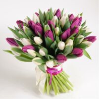 Bouquet de tulipes blanche et violet