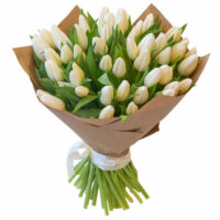 Bouquet de tulipes blanche.