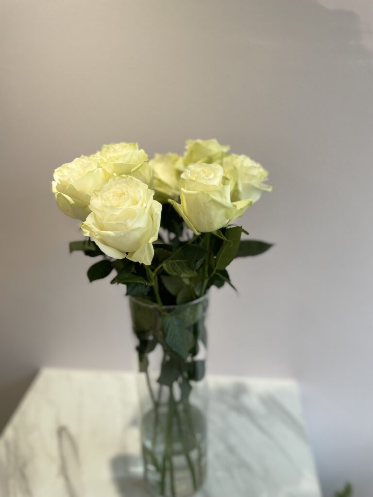 Roses blanche