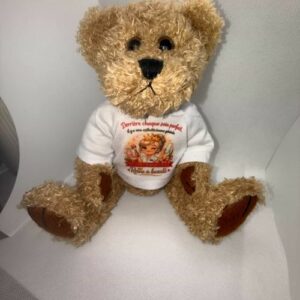 Peluche ourson avec tee-shirt personnalisé (texte ou photo), cadeau à offrir avec des fleurs